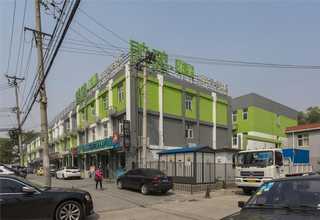 甘肃蝴蝶兰大概价格多少