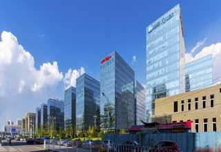 金堂县冬季绿化养护